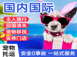 胶东机场托运国际宠物托运 【国
